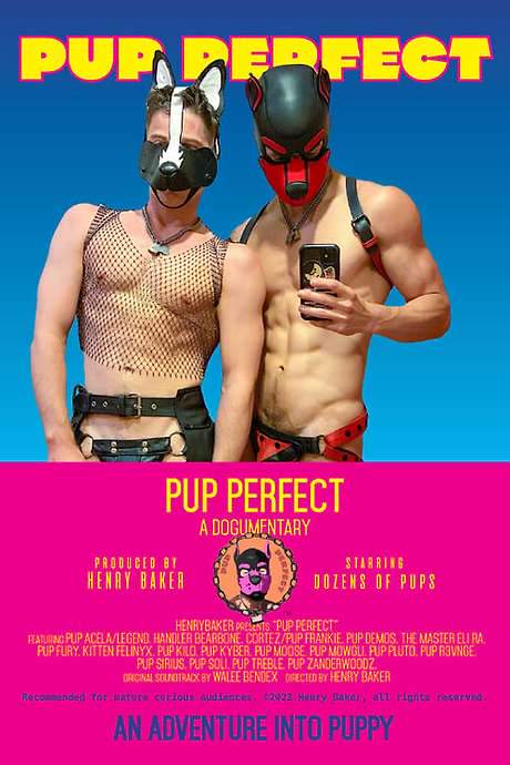 Pup Perfect